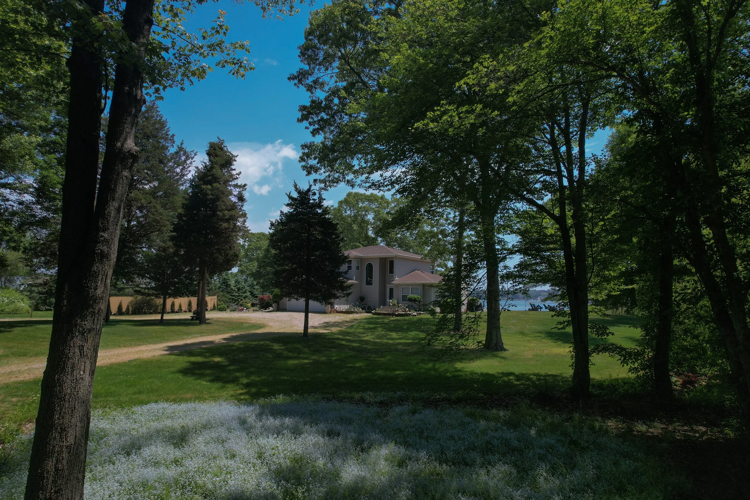 A house across the lawn framed by old maples, the water glinting through the trees behind it