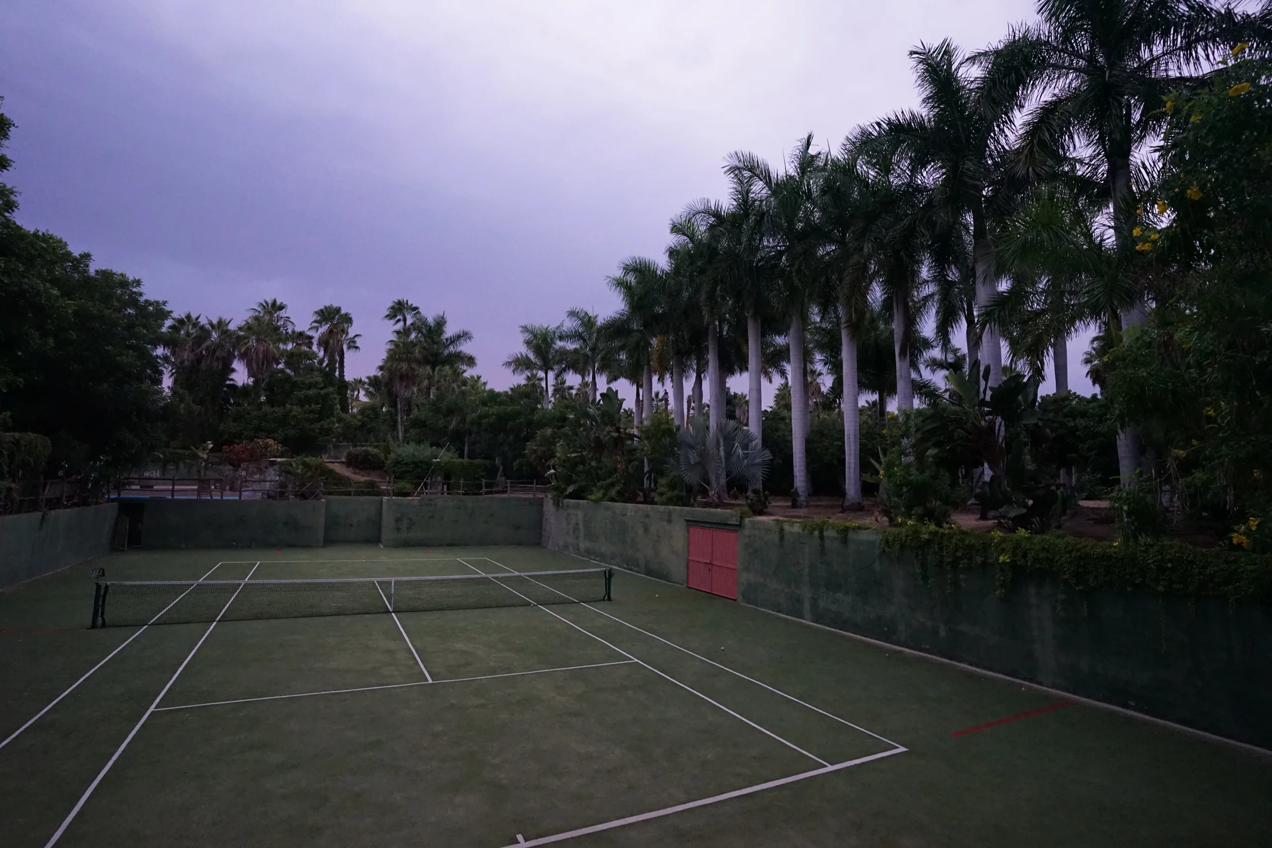 Empty tennis courts at dusk, ringed by tall palms in violet light