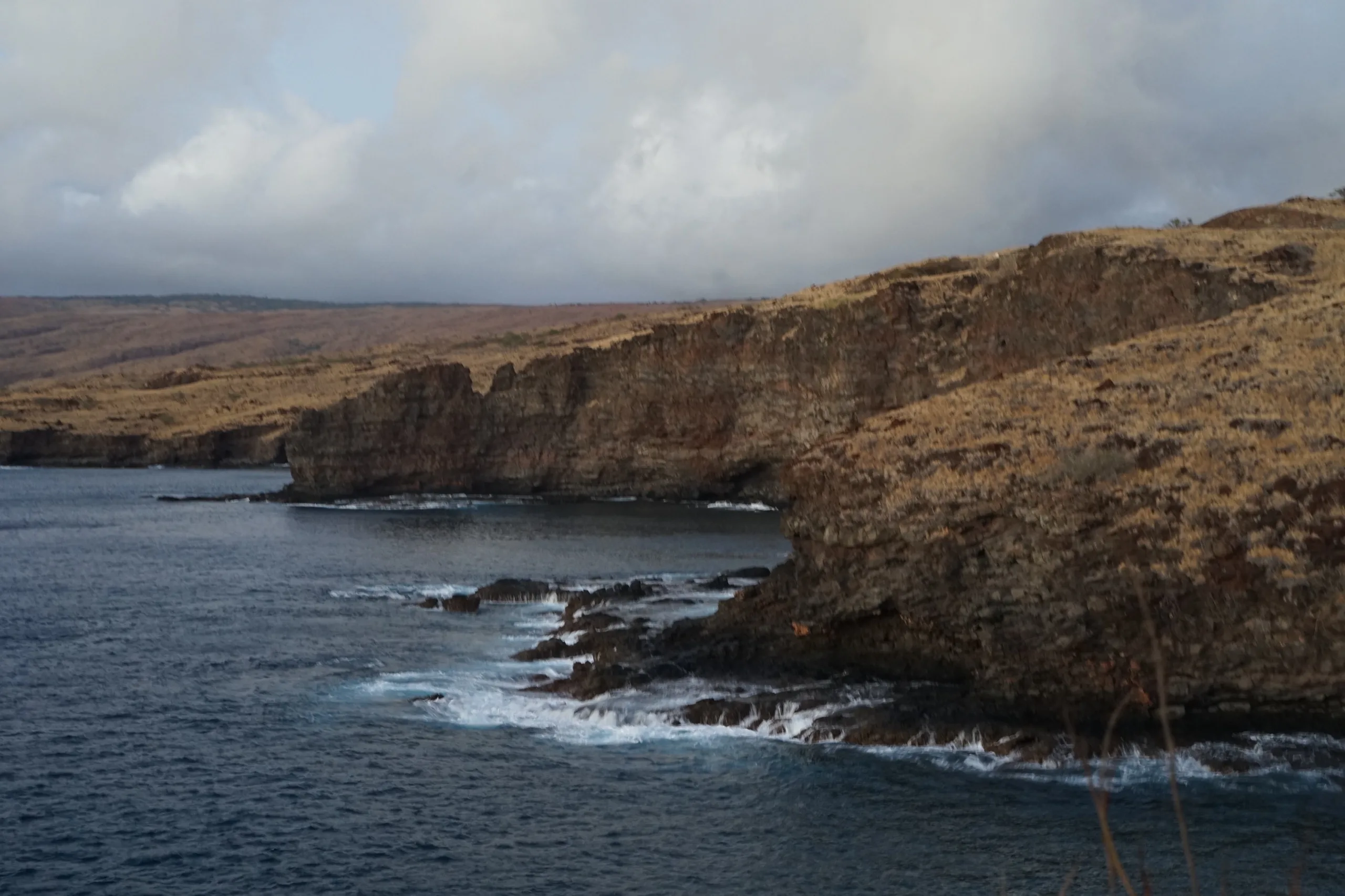 Wind-scoured sea cliffs and white surf along a rugged, treeless coast