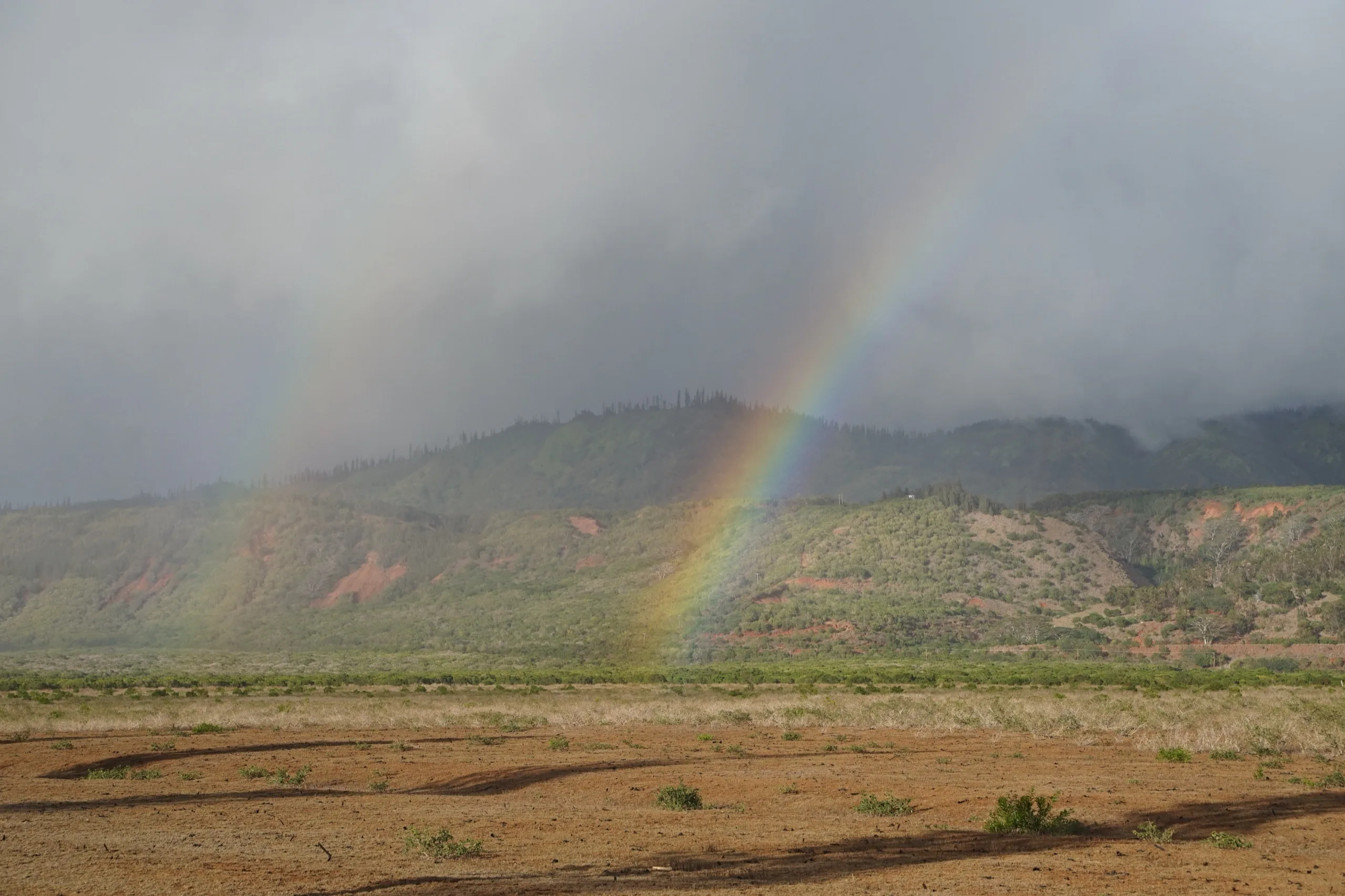 Rainbow falling across a red desert mesa beneath a dark rain squall