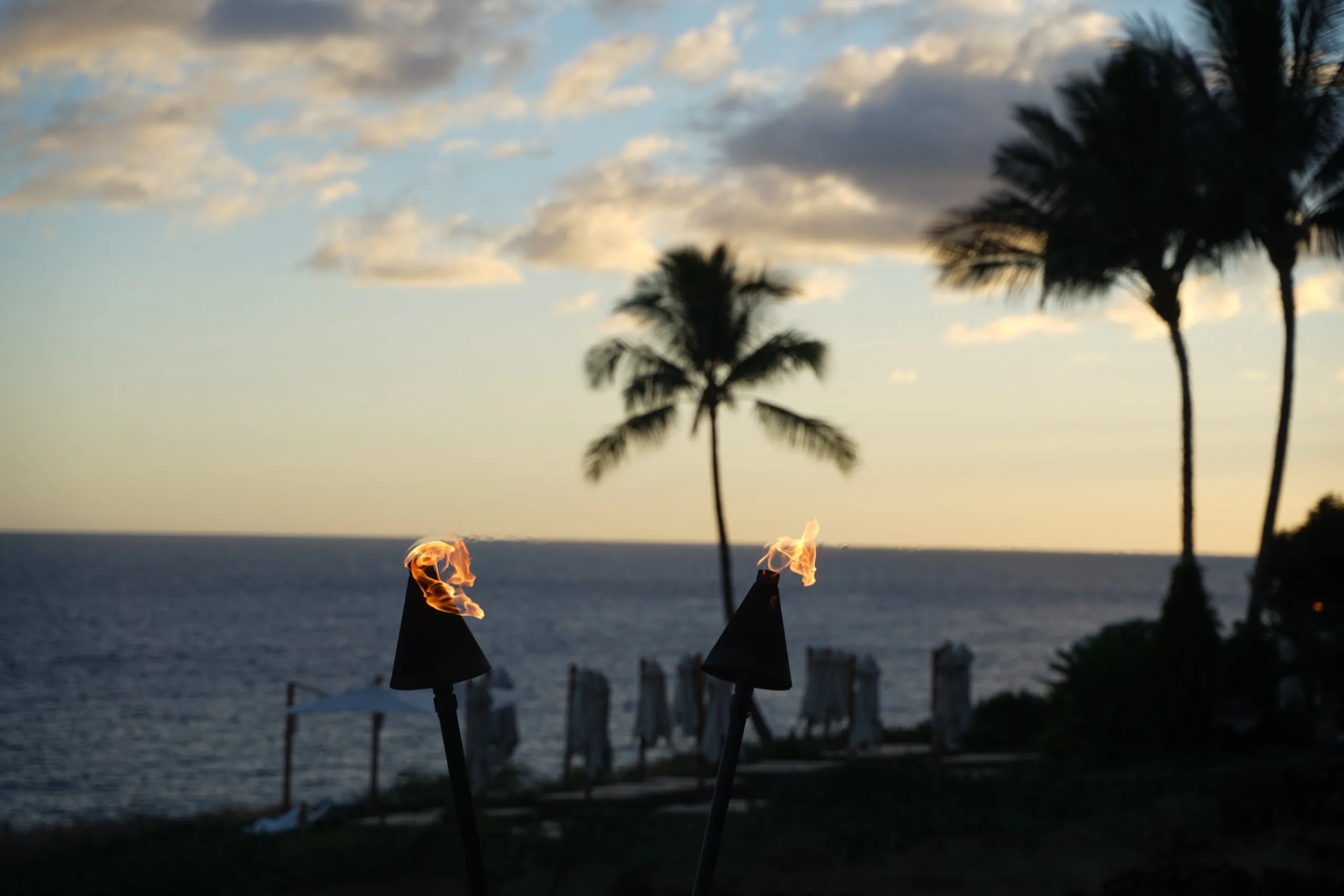 Lit tiki torches and palm silhouettes above the ocean at last light